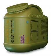 2007 Megagainer3100_4500.jpg